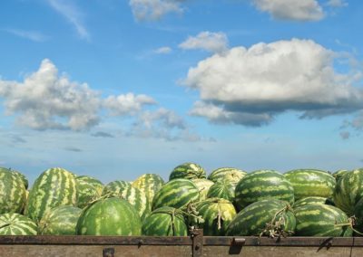 40th Annual Cave City Watermelon Festival – Arkansas