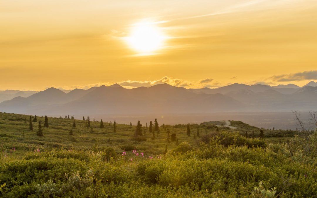 39th Annual Midnight Sun Festival – Fairbanks