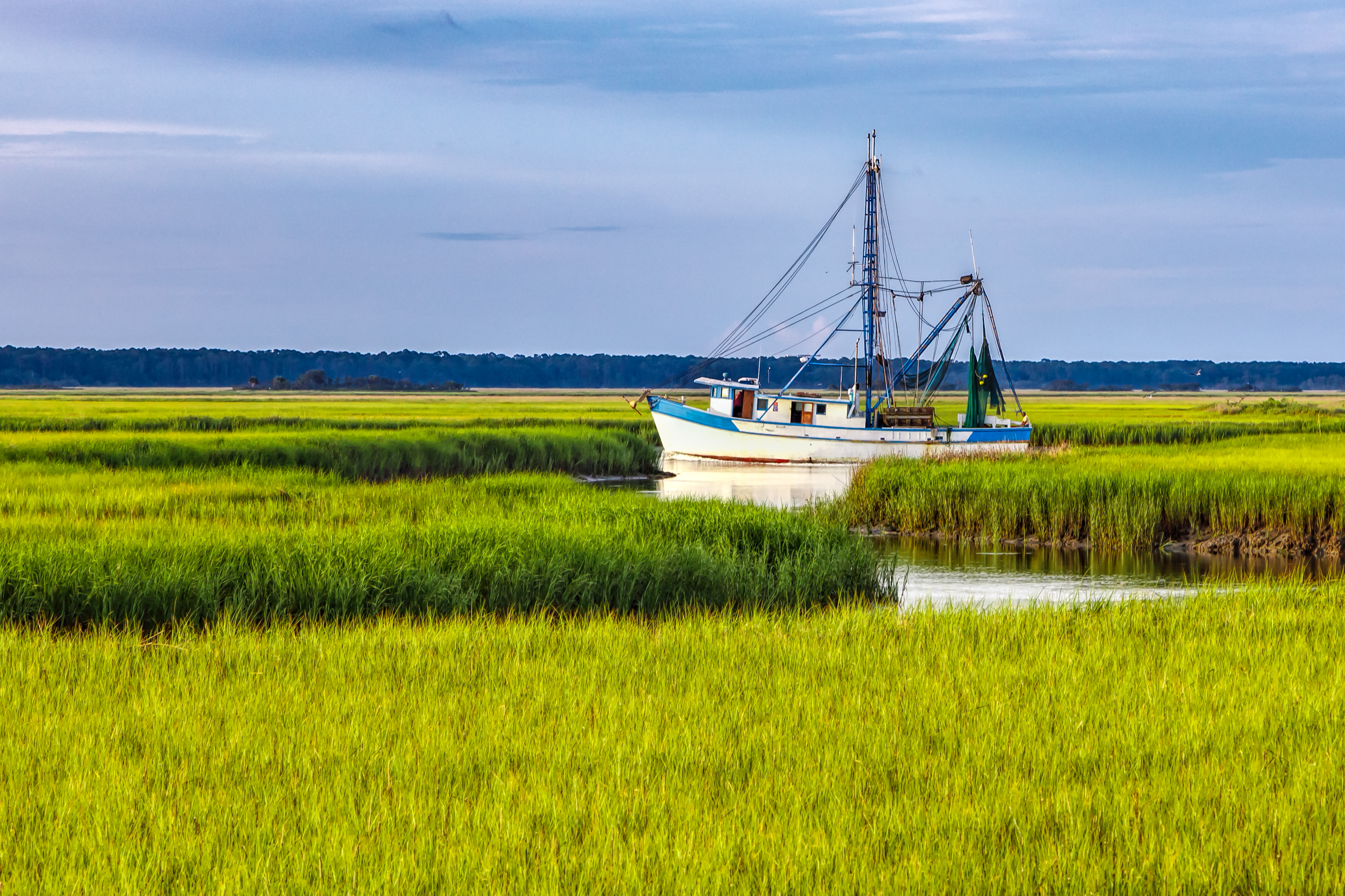 Beaufort marsh Beaufort SC Marsh