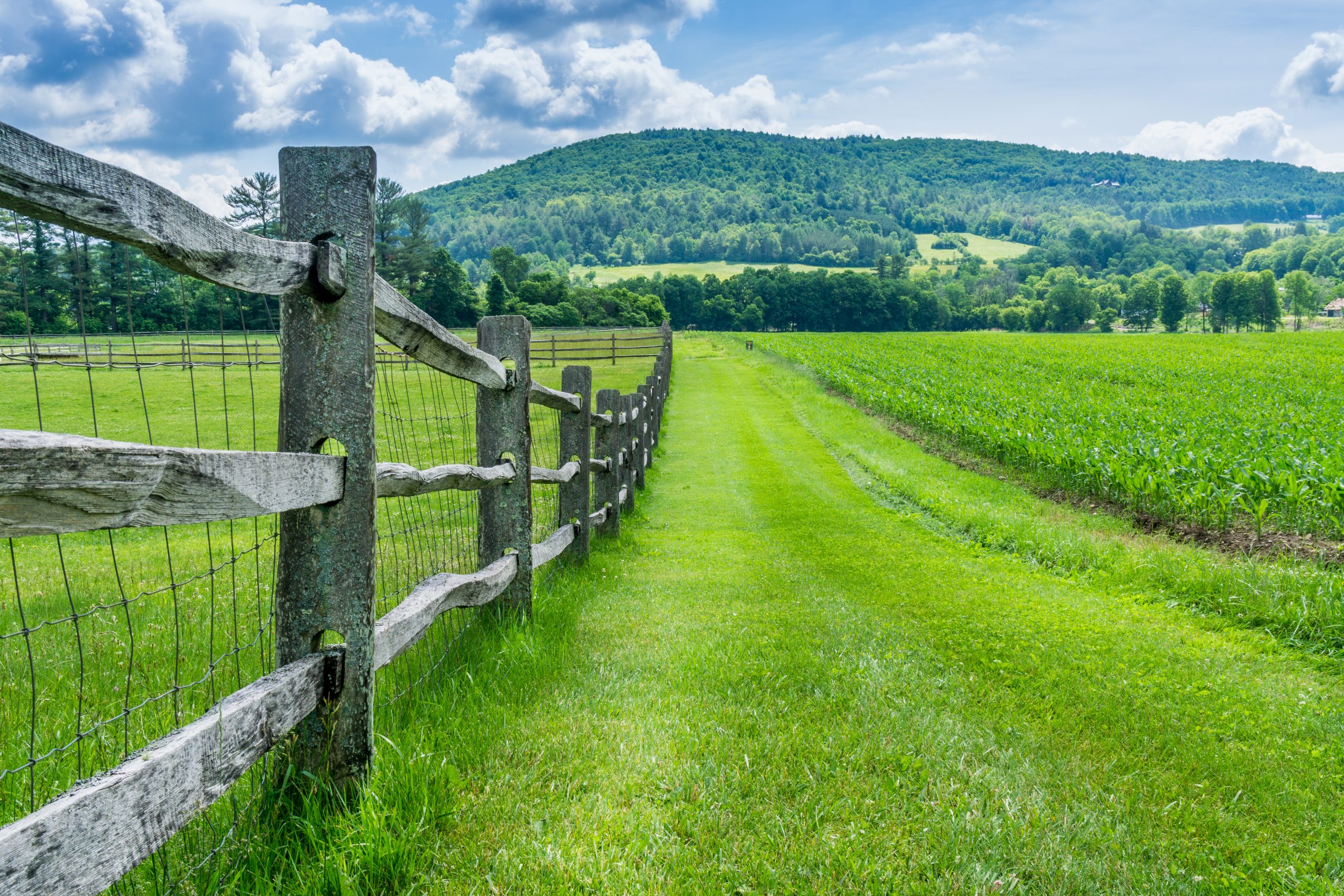Fence,On,Billings,Farm,In,Vermont.