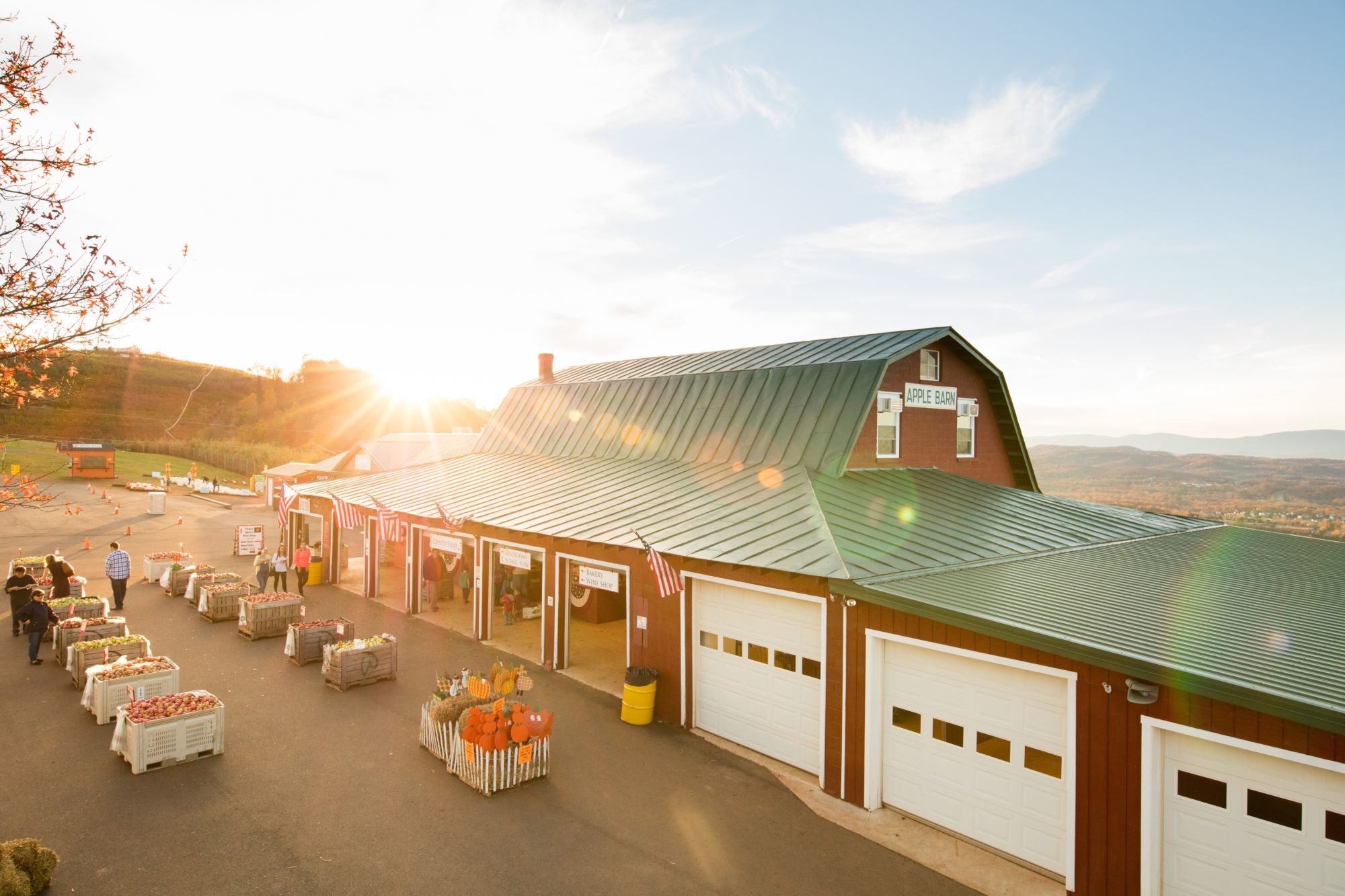 CM-AaronWatson-2015-apples-store-005-small (002)- Carter Mountain Orchard