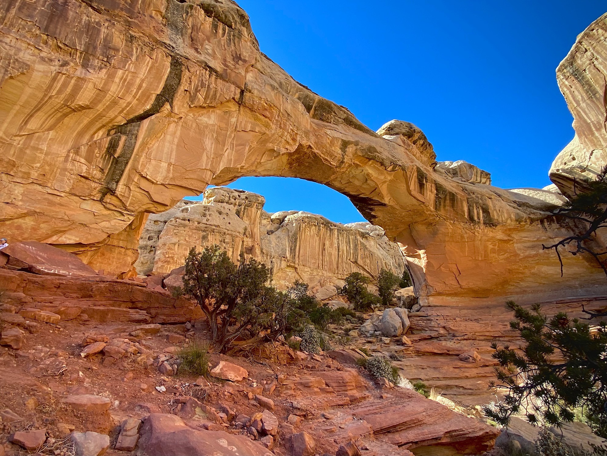 Capitol Reef – Hickman Bridge (CIO)