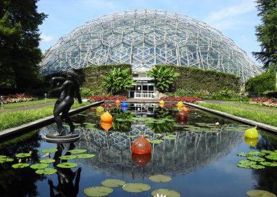 What’s New at the Garden: The Missouri Botanical Garden is Open!