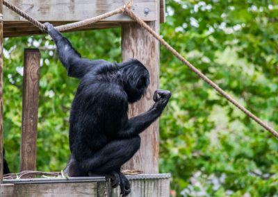 Visit the Jacksonville Zoo and Gardens