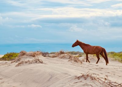 Small Town Spotlight: Corolla, North Carolina