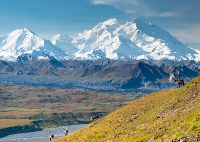 The Tallest Peak in North America: Denali National Park & Preserve