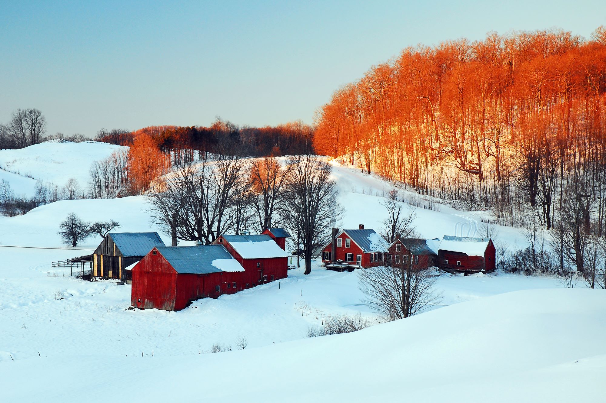 Farm in winter