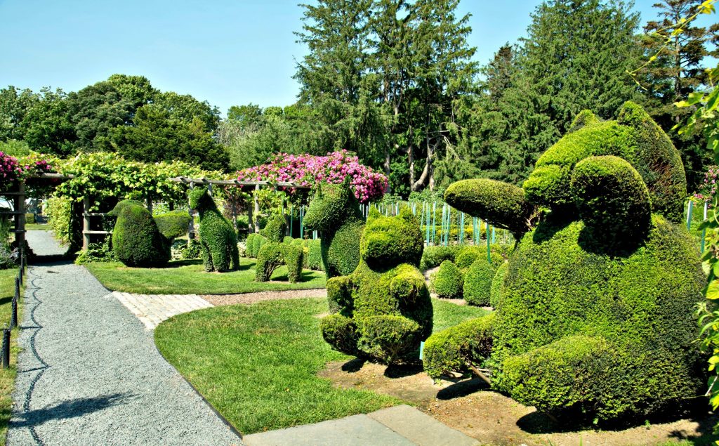 Green Animals Topiary