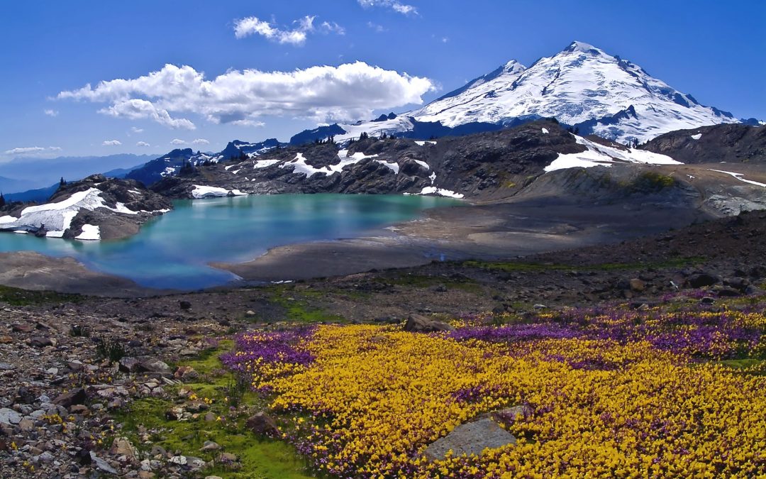 Small Town Spotlight: Glacier, Washington