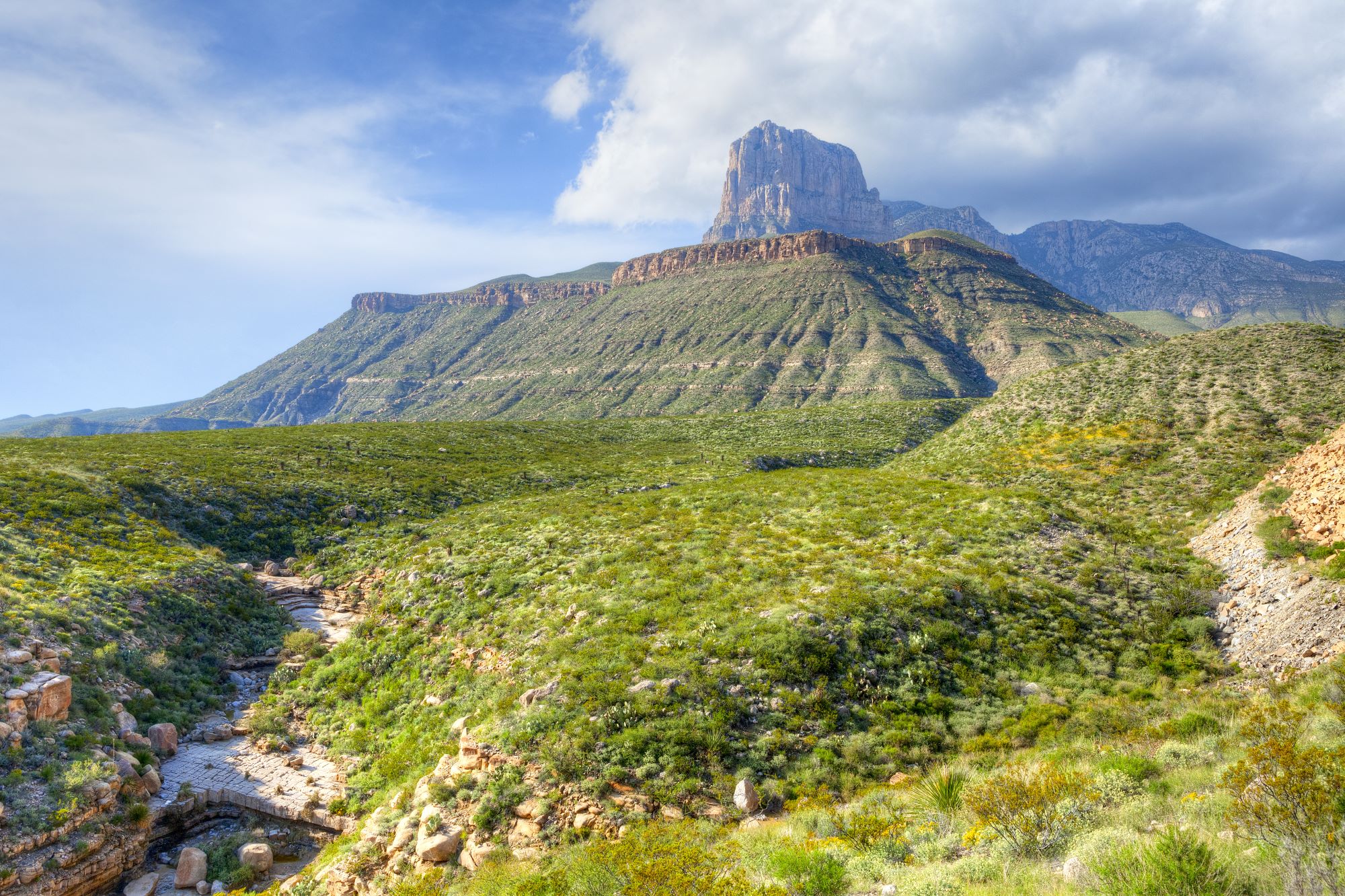 Guadalupe Mountains NP
