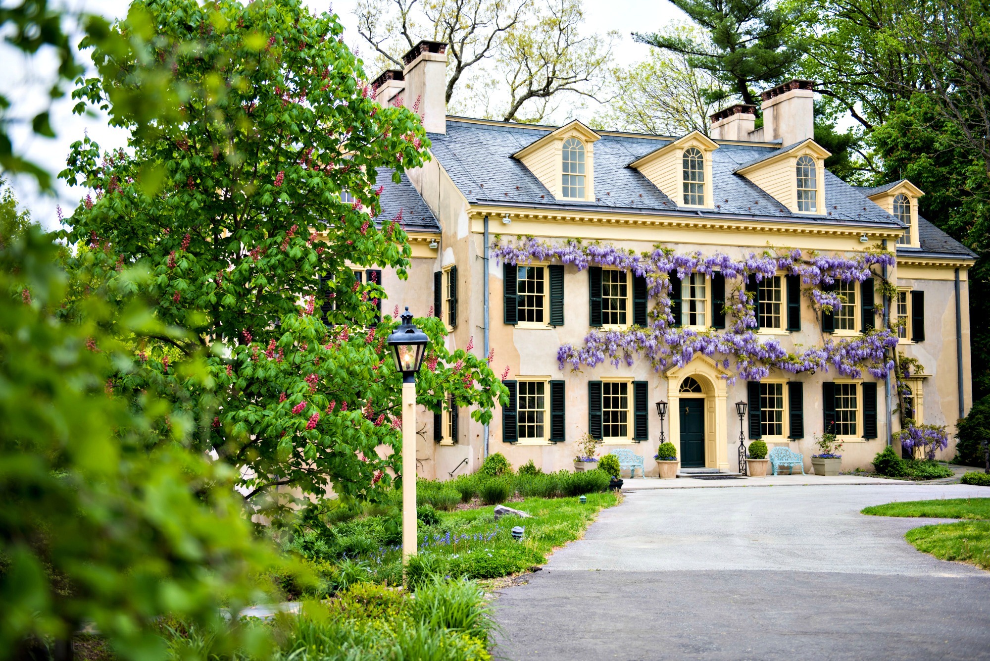 Hagley Museum-Eleutherian Mills-Spring Wisteria Hagley Museum