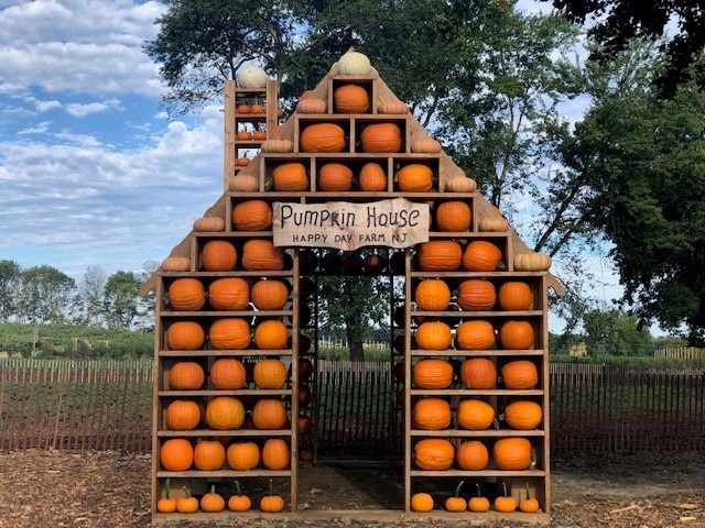Fall Family Fun: Happy Day Farm