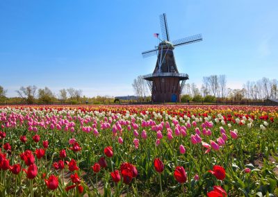 Europe in America: Holland, Michigan