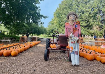 Fall Family Fun: Honey Pot Hill Orchards