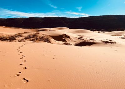 Detour to Coral Pink Sand Dunes State Park: Kanab, Utah