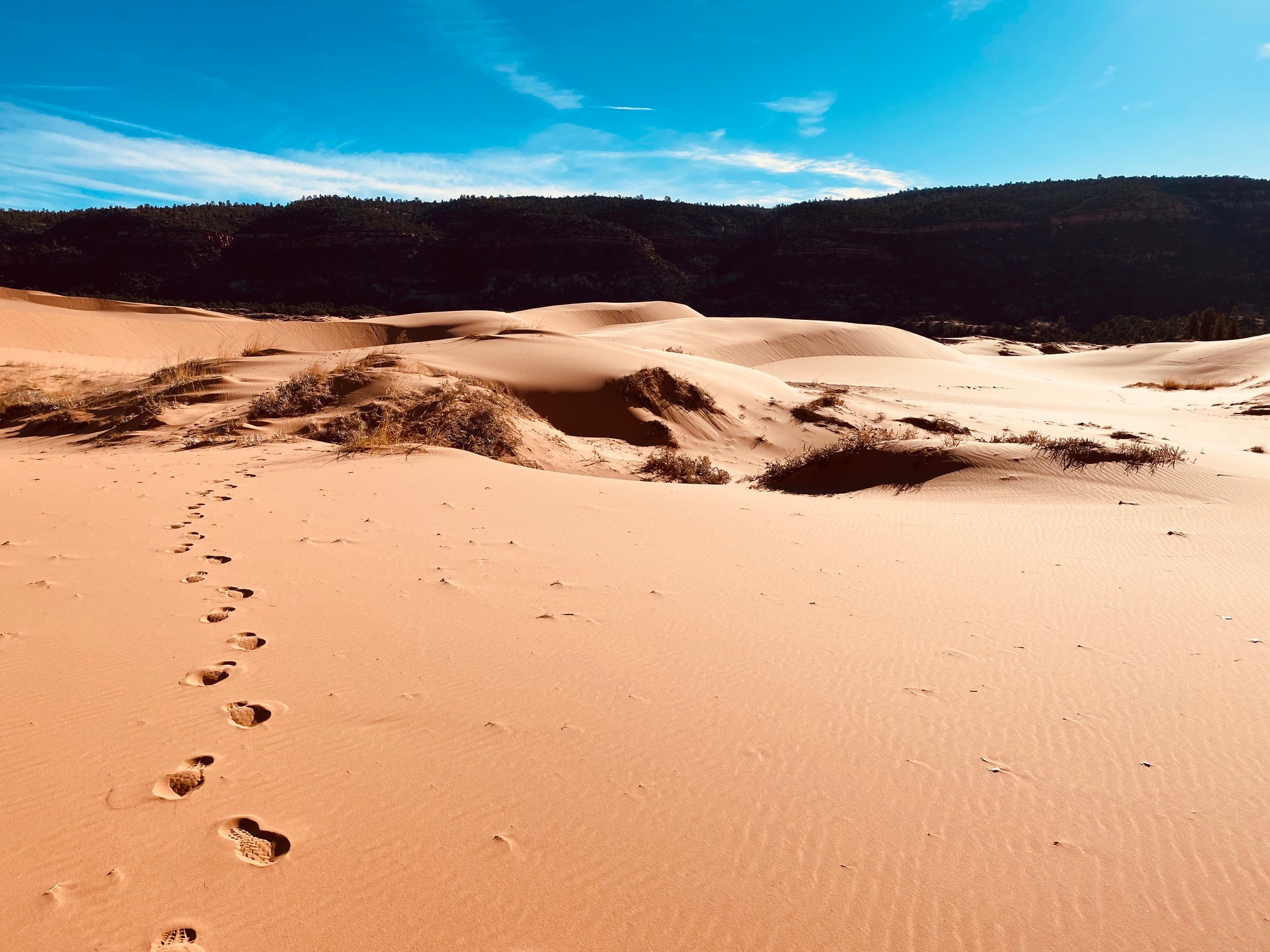 Kanab – Dunes (CIO)
