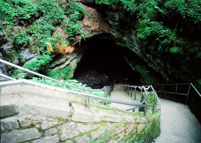 Virtual Roadtrip: Mammoth Cave National Park