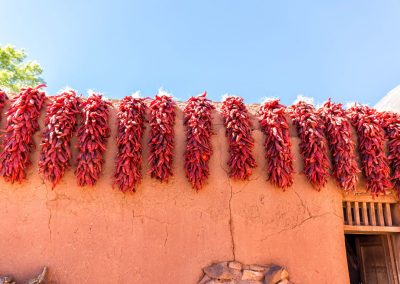 49th Annual Hatch Valley Chile Festival – New Mexico
