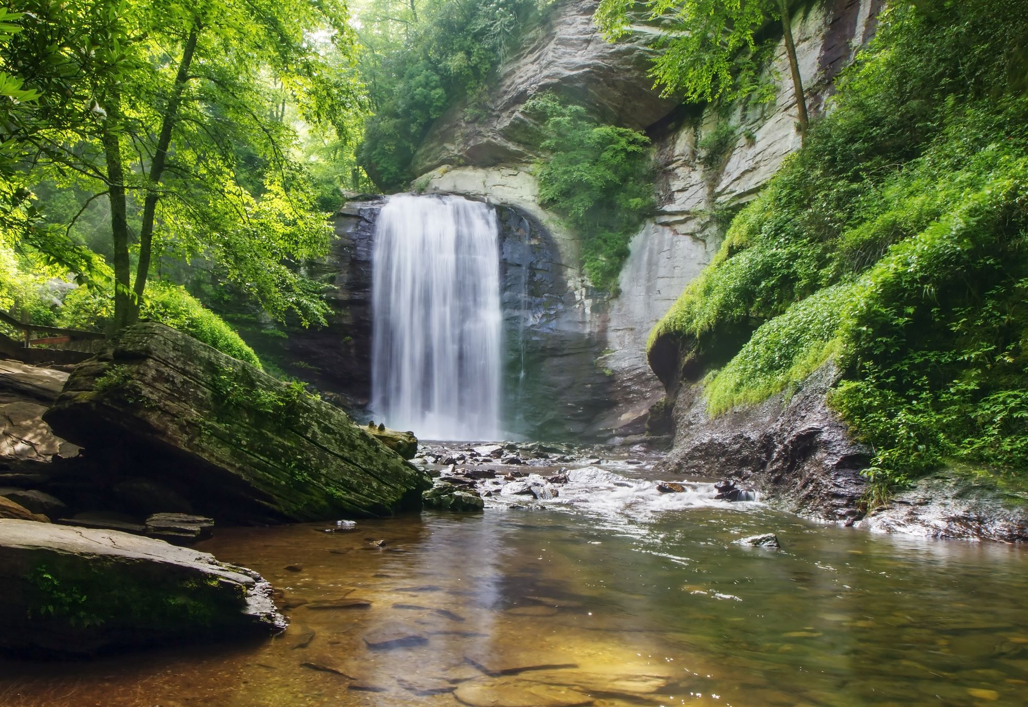Pisgah Forest Waterfall
