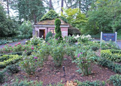 The International Rose Test Garden