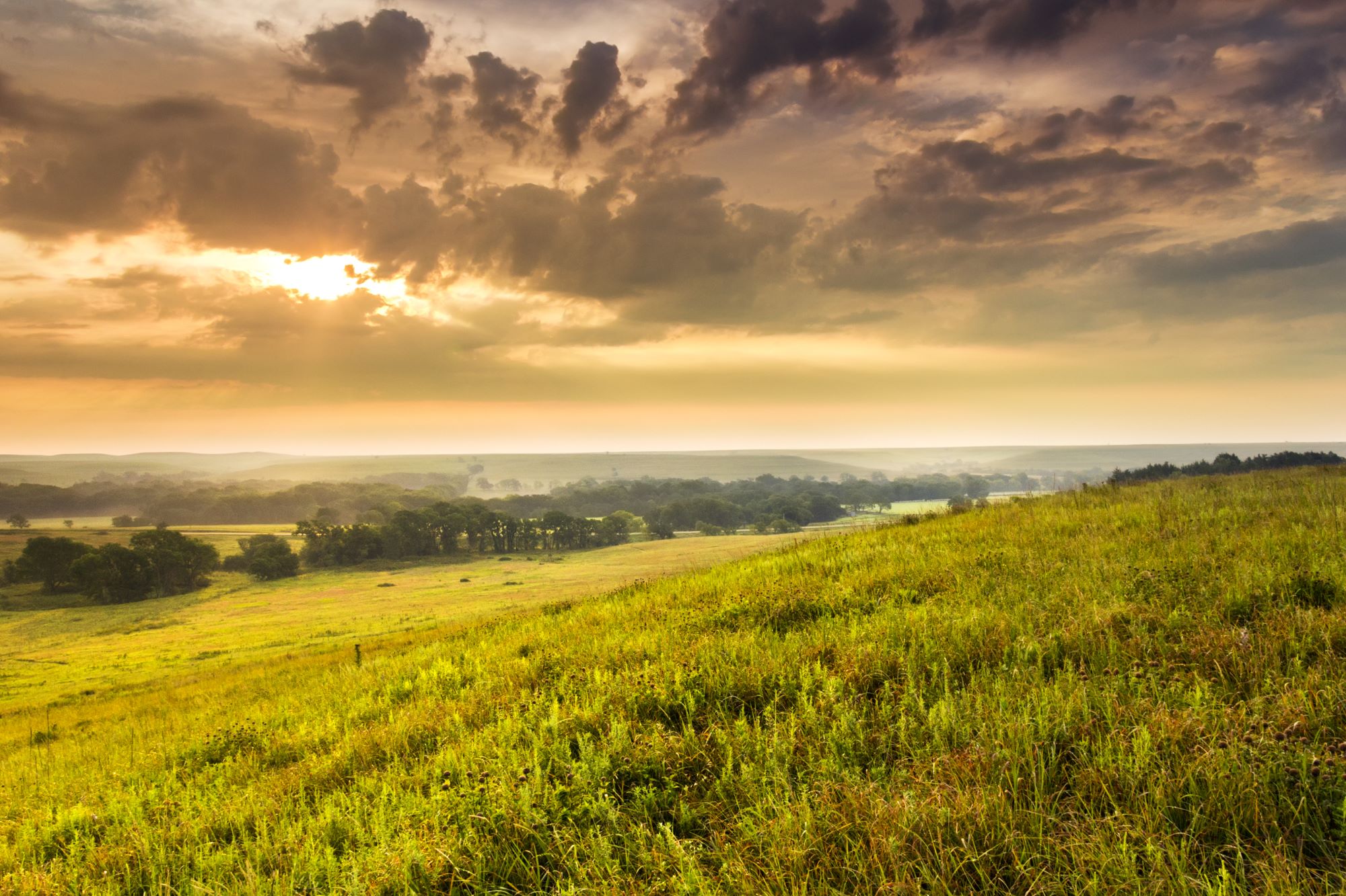 Tallgrass Prairie