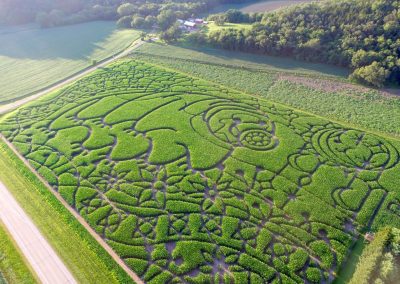 Fall Family Fun: Treinen Farm Corn Maze