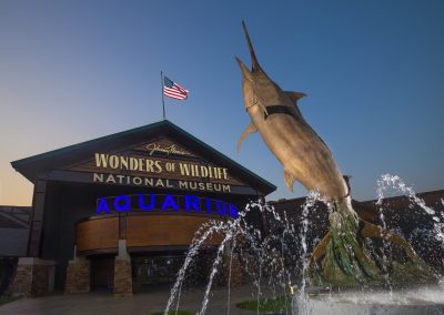 Things to do at the Wonders of Wildlife Museum & Aquarium