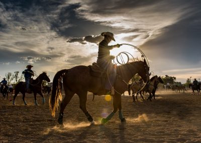 105th Annual Snake River Stampede
