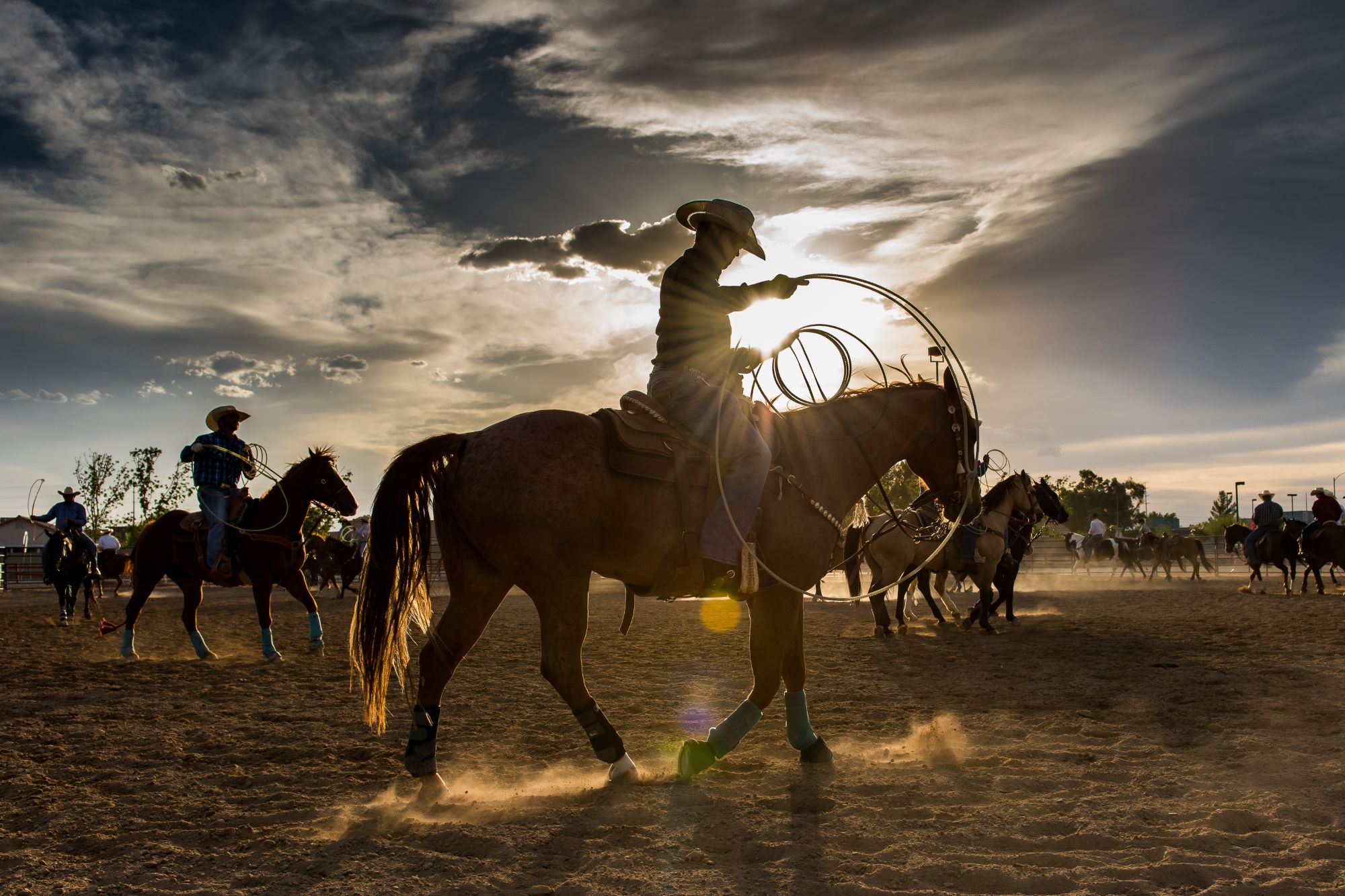 Wyoming Cowboy