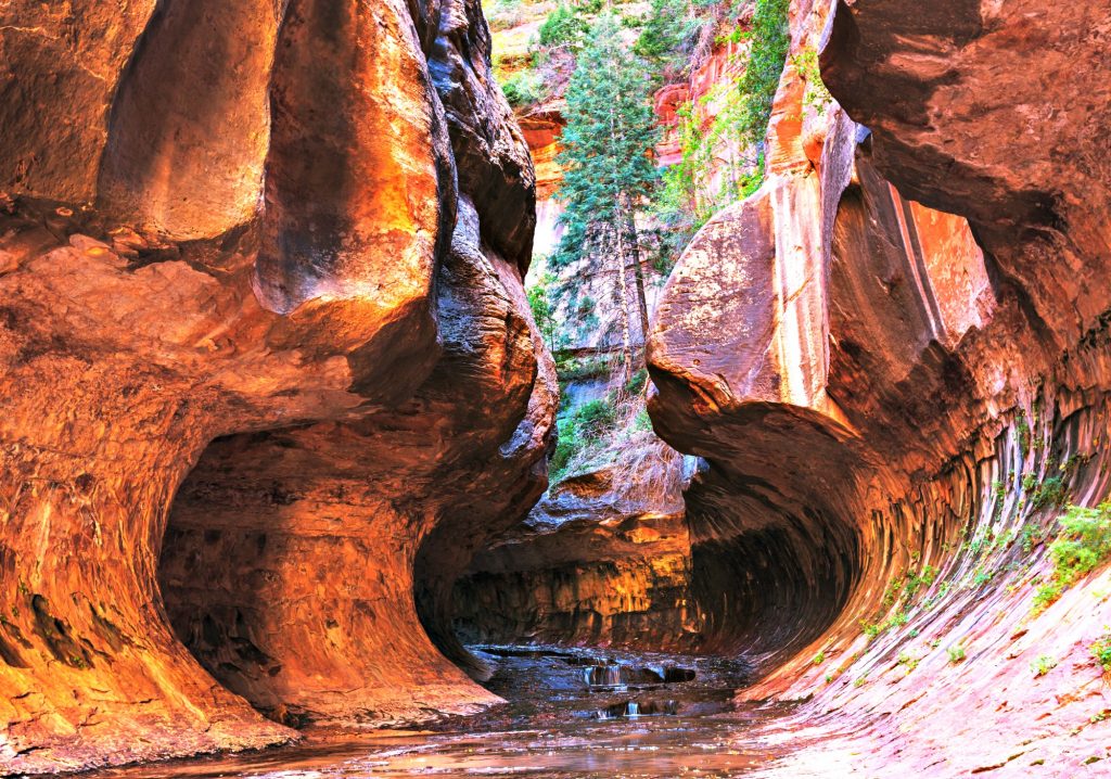 Zion Narrows