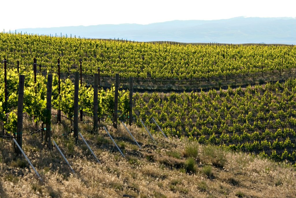 Woodward Canyon Winery